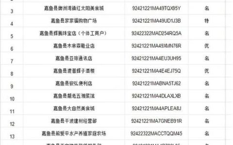 嘉鱼2025年新增经营主体超9300家 同比增长24.26% 市场主体总量实现稳步增长