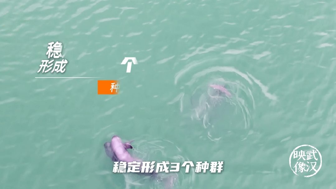 7分钟告诉你，什么是武汉的真实力！