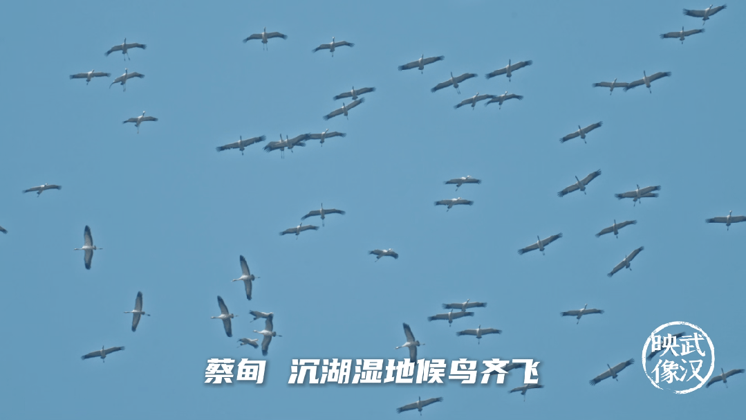 7分钟告诉你，什么是武汉的真实力！