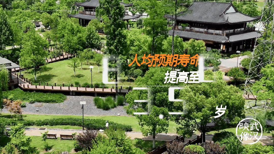 7分钟告诉你，什么是武汉的真实力！