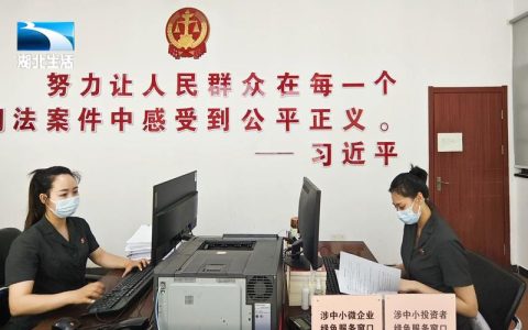 努力让群众感受到公平正义，武汉法院1年办理民生案件13.85万件