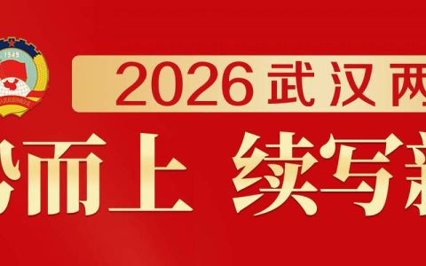 2025武汉政府“账本”出炉：新质生产力动能澎湃，民生幸福账单温暖厚实