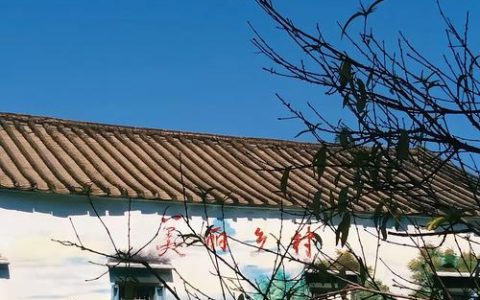 保安村“小三园”绘就宜居新景