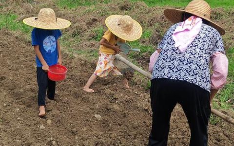 费湾村：土地“流”出活力 村民“转”来双收