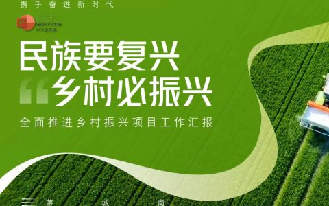 扎实推进乡村振兴和强县工程