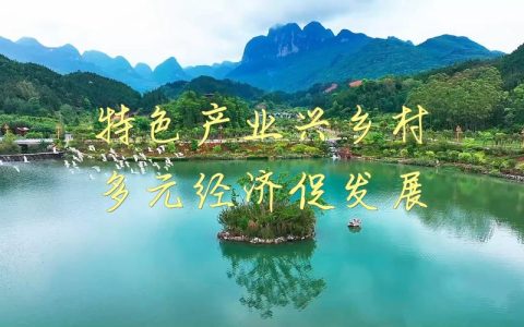 骆驼坳镇发展特色产业促增收