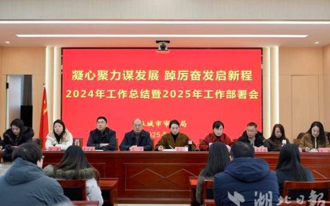 麻城强化医疗医药 建筑安全领域审计