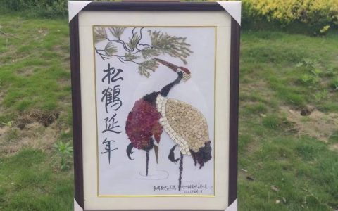 黄州区西湖社区中医药贴画大赛落幕