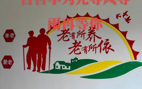 老有所养到老有“善”养的新路径