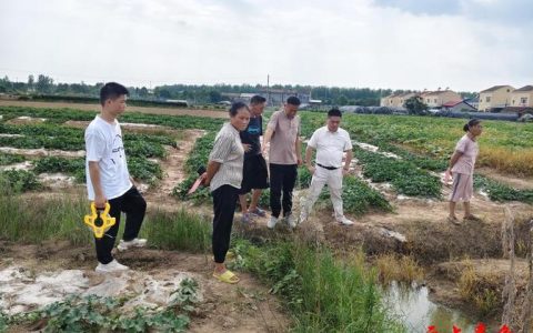 “小户长”撬动“大治理” 嘉鱼潘家湾镇中心户长制激活基层治理“神经末梢”