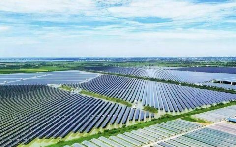 赤壁建强现代农业产业园 夯实乡村振兴“硬支撑”