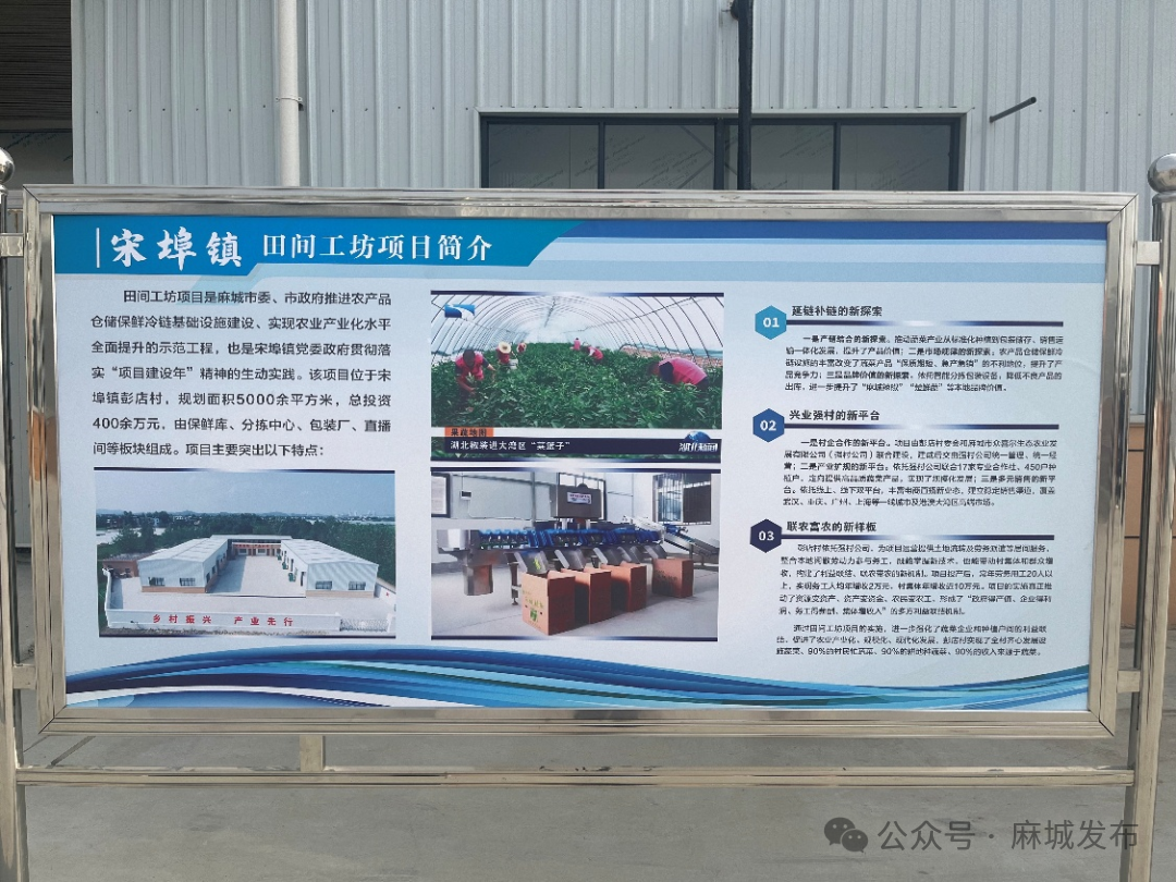 田间工坊“链”出致富经 麻城彭店村变身“共富样板间”