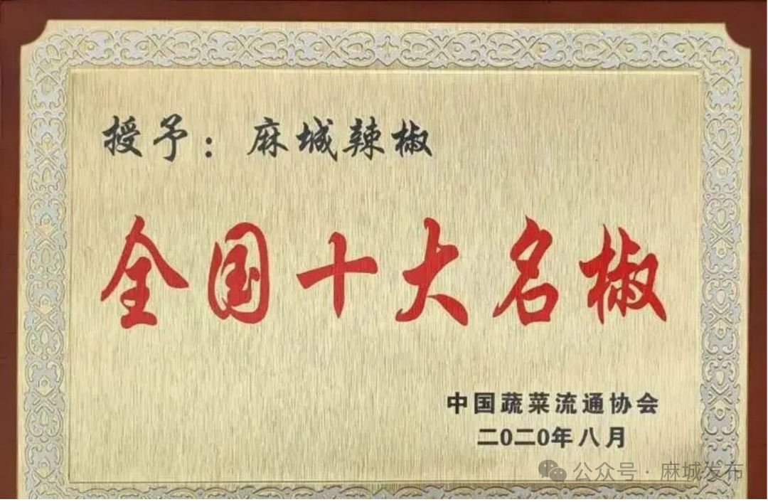 田间工坊“链”出致富经 麻城彭店村变身“共富样板间”