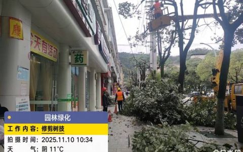 运粮湖管理区：精修绿化树木 扮靓宜居集镇