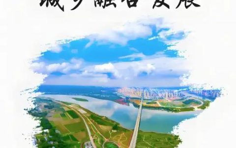 龙湾镇：干群同心齐发力 美丽乡镇共创建