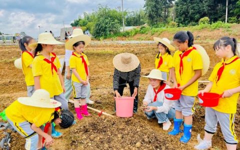 田间课堂润童心