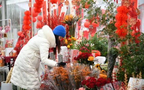 十堰花市年味浓 市民选购年宵花热情高