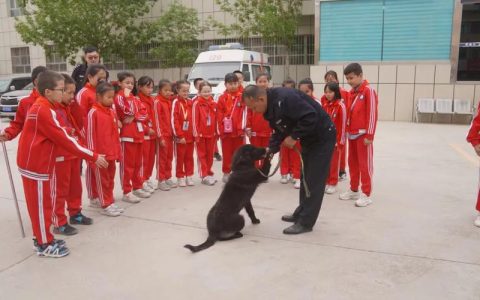 小记者探访交警警营 沉浸式学习交通安全知识