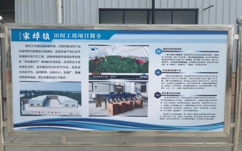 田间工坊“链”出致富经 麻城彭店村变身“共富样板间”