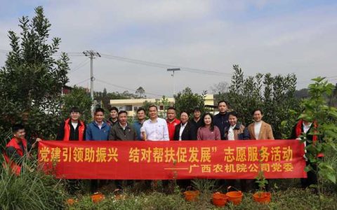 精准帮扶超10万人次