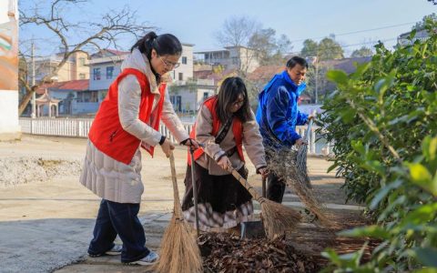 干群齐动手　家园焕新颜 通城塘湖镇聚力打好清洁家园攻坚战
