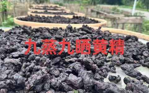 崇阳独石村九蒸晒匠心　黄精酿“黄金”