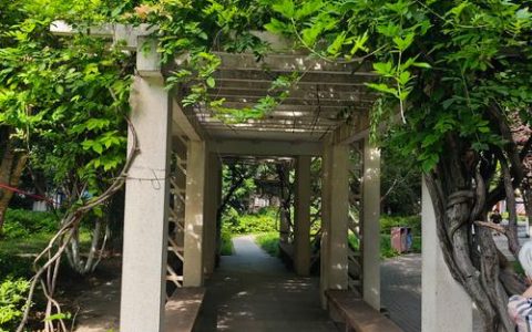 老小区有了新公园