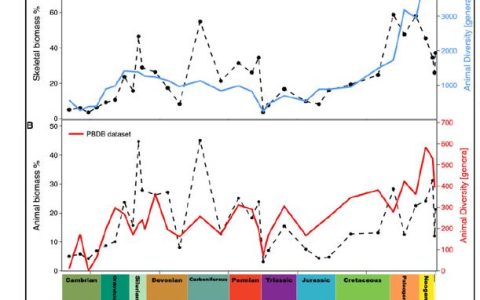 【China Daily】Ancient oceans cycled between oxygen-rich and oxygen-poor states, research shows