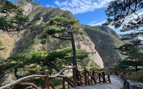 链通大别山 货出罗田旺