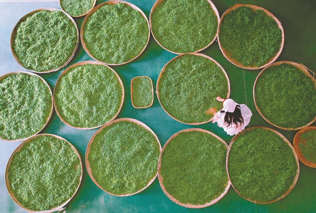 青山作证 绿富同行