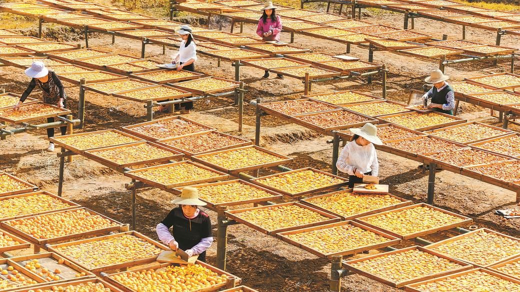 青山作证 绿富同行