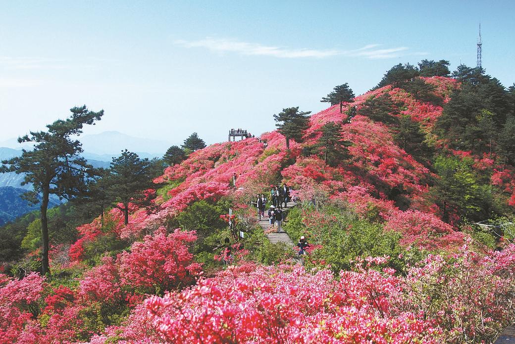 青山作证 绿富同行