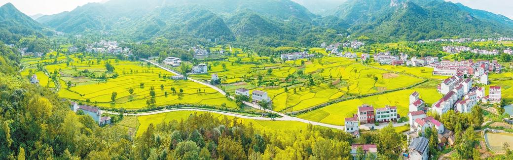 “大县挑大梁”的麻城答卷