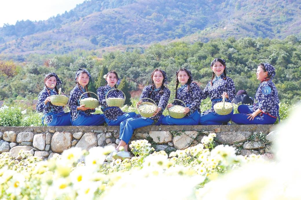 “大县挑大梁”的麻城答卷