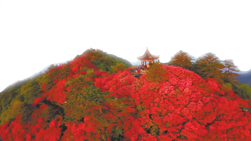 “大县挑大梁”的麻城答卷