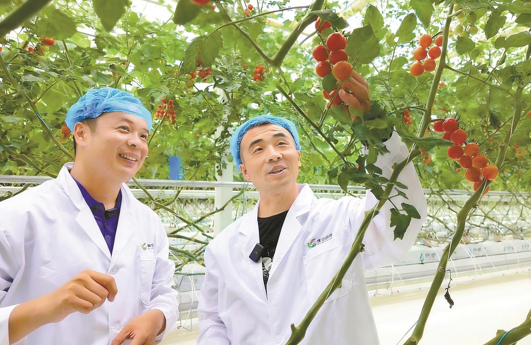 勇担区域使命 锻造发展脊梁