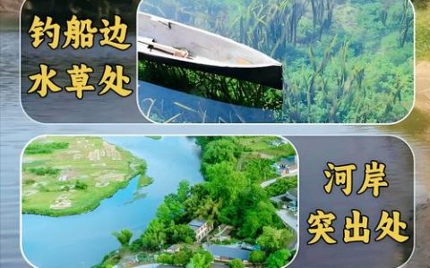 湖北为“野钓”划定“省级规范”