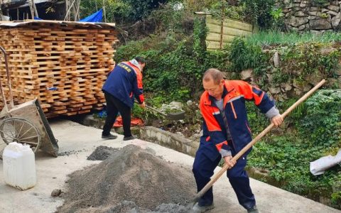 龙湾镇：冬闲忙整治 田畴焕新颜