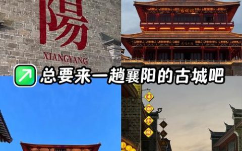 我们用“新”看襄阳