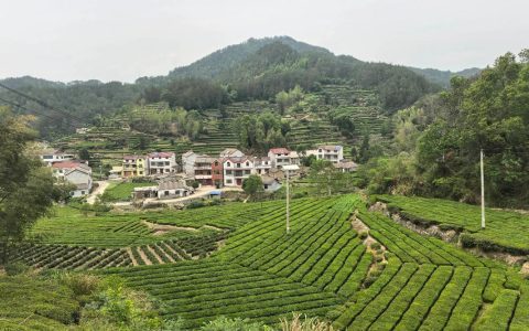 英山：“两山”实践创新的山乡答卷