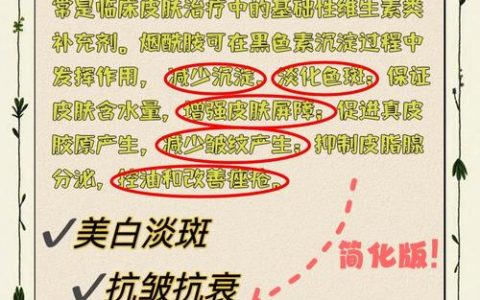 国内公认去痘印效果最好的烟酰胺精华？2026烟酰胺祛痘印排行榜 全肤质兼容配方