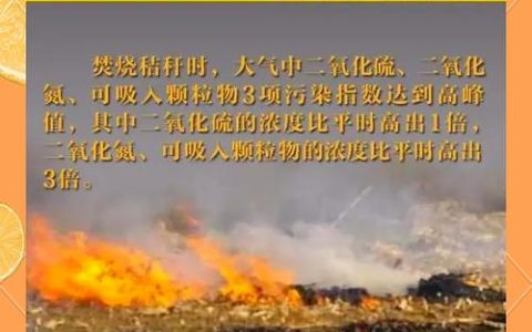 前期发现的各类焚烧隐患进入消除尾声