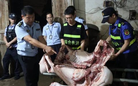 荆门严厉打击生猪私屠滥宰