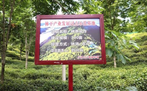 恩施市2个特色案例入选全省林下经济发展案例