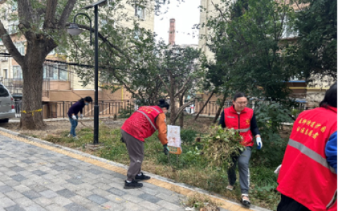 巧施民生计 化解千千结 园林街道基层治理焕发新活力