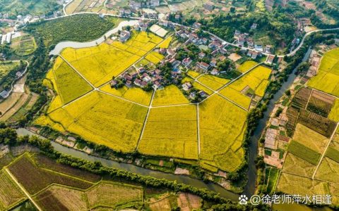 周矶管理区：绘就美丽乡村新图景