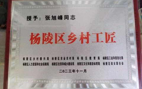 传承乡土技艺 带动产业发展 咸宁市4人获评省级乡村工匠名师