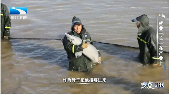 重新定义“找工作”？看湖北如何让就业“长”在产业上