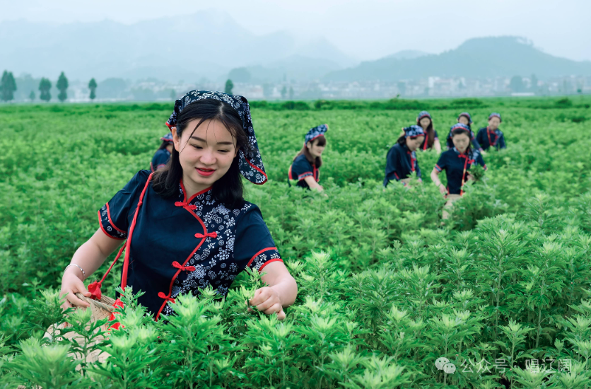 湖北县域的“局部领先”之道