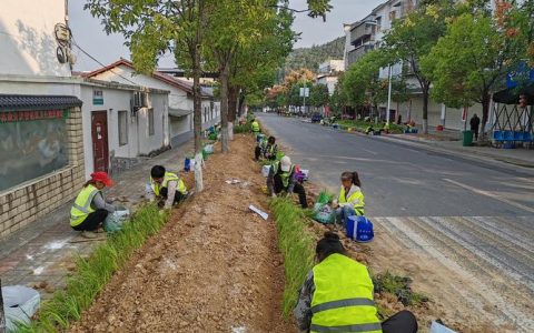 园林街道基层治理焕发新活力